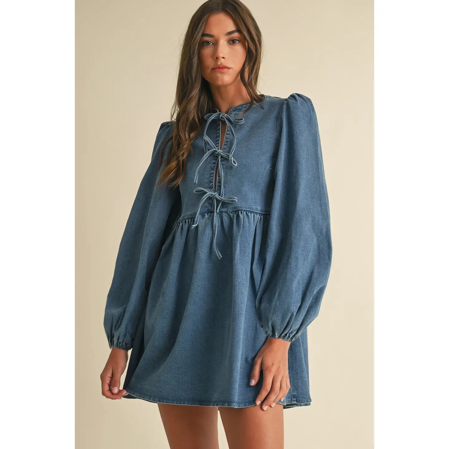 Lauren Denim Bow Dress